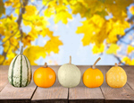Сlipart Pumpkin Halloween Isolated Four Objects Decoration   BillionPhotos