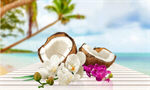 Сlipart Coconut Tropical Climate Flower Single Flower Leaf   BillionPhotos