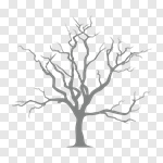 Сlipart Tree Plant Tree Trunk Nature Sapling vector cut out BillionPhotos