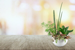 Сlipart wall decoration potted pot flower   BillionPhotos