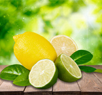 Сlipart Lemon Lime Fruit Citrus Fruit Food   BillionPhotos
