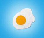 Сlipart blue white yellow Eggs Fried Egg   BillionPhotos