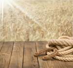 Сlipart western background shoe ranch success   BillionPhotos