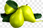 Сlipart Pear Fruit Pear Tree Isolated Freshness photo cut out BillionPhotos