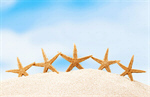 Сlipart starfish ocean beach 2014 tourism   BillionPhotos