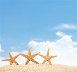 Сlipart beach starfish 2014 coco tourism   BillionPhotos