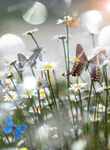 Сlipart spring april meadow nature background   BillionPhotos