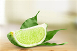 Сlipart lime segment lemon fruit mint closeup   BillionPhotos