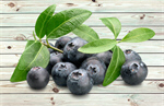 Сlipart Blueberry Berry Fruit Food Fruit Blue   BillionPhotos
