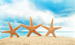 Сlipart beach starfish 2014 coco tourism   BillionPhotos