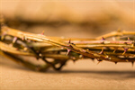Сlipart Crown Of Thorns The Crucifixion Thorn Resurrection Bible photo  BillionPhotos