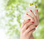 Сlipart Fingernail Manicure Human Hand Nail Polish Beauty   BillionPhotos