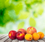 Сlipart apricot freshness closeup ripe dessert   BillionPhotos