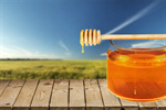 Сlipart Honey Jar Isolated Food Drop   BillionPhotos