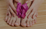 Сlipart feet nail care salon hand photo  BillionPhotos