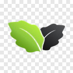 Сlipart leaf leaves green eco ecology vector cut out BillionPhotos