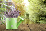 Сlipart flower home fresh freshness decoration   BillionPhotos
