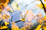 Сlipart Autumn clock Autumn Leaf Backgrounds Branch   BillionPhotos