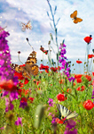 Сlipart spring april meadow nature background   BillionPhotos