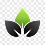 Сlipart leaf leaves green eco ecology vector cut out BillionPhotos