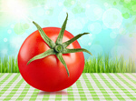 Сlipart tomato fresh clipping macro fruit   BillionPhotos