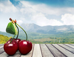 Сlipart Cherry Fruit Food Red Leaf   BillionPhotos