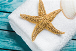 Сlipart holidays thalasso coast seastar home decor photo  BillionPhotos