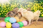 Сlipart easter egg heap greeting green   BillionPhotos