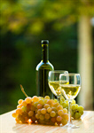 Сlipart Wine Grape Wineglass Glass White photo  BillionPhotos