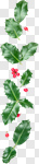 Сlipart Christmas Holly Christmas Decoration Frame Backgrounds photo cut out BillionPhotos