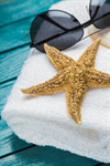 Сlipart holidays thalasso coast seastar home decor photo  BillionPhotos