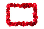 Сlipart Rose Wedding Frame Valentine's Day Red photo  BillionPhotos