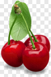 Сlipart Cherry Fruit Food Red Leaf photo cut out BillionPhotos