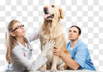 Сlipart veterinarian vet dog latin latinamerican photo cut out BillionPhotos