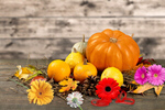 Сlipart above arrangement autumn autumn background autumnal   BillionPhotos