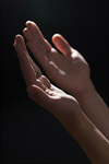 Сlipart Human Hand Praying Palm Giving Surrendering photo  BillionPhotos