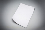 Сlipart Paper Letter Document Blank White photo  BillionPhotos