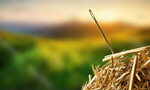 Сlipart Needle in a Haystack Searching Haystack Needle Hay   BillionPhotos