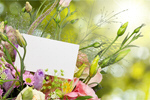 Сlipart Bouquet Flower Arrangement Flower Rose Spring   BillionPhotos