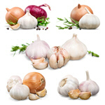 Сlipart Garlic Food Vegetable Parsley Freshness   BillionPhotos
