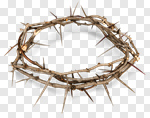 Сlipart Crown Thorn Jesus Christ Religion Crown Of Thorns photo cut out BillionPhotos