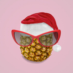 Сlipart christmas pineapple abstract food art   BillionPhotos