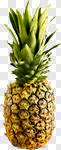 Сlipart Pineapple Fruit Food Isolated Freshness photo cut out BillionPhotos