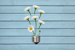 Сlipart spring energy flower lightbulb abstract   BillionPhotos