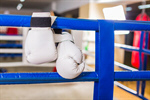 Сlipart active activity boxing competition competitive photo  BillionPhotos
