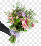 Сlipart Flower Bouquet Tulip Giving Human Hand photo cut out BillionPhotos