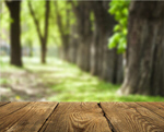 Сlipart wood wooden deck background outdoor   BillionPhotos