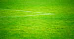 Сlipart Soccer Grass Goal Sport Playing Field photo  BillionPhotos