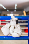 Сlipart active activity boxing competition competitive photo  BillionPhotos