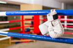 Сlipart active activity boxing competition competitive photo  BillionPhotos